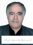 علی ناطق  نوجه ده